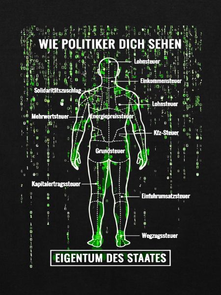 Systemfehler Steuerzahler - Matrix Zerlegeplan 