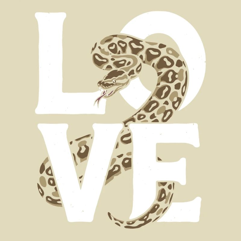 King Python Snakes LOVE Terrarium Python