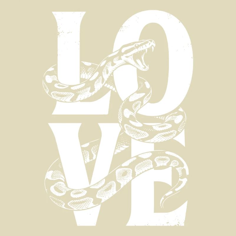 Königspython Schlangen LOVE Terrarium Python