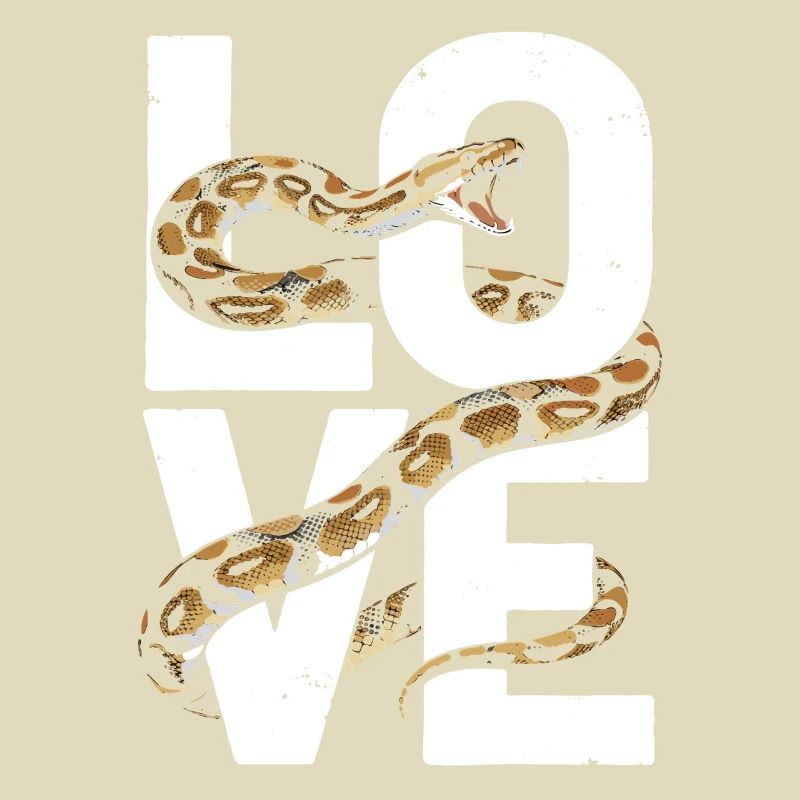 King Python Snakes LOVE Terrarium Python