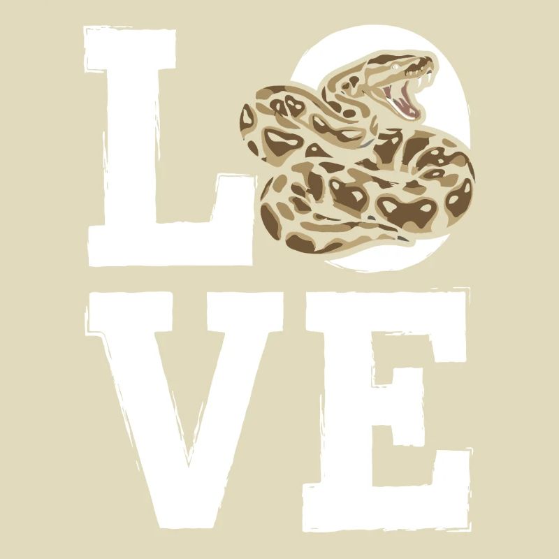 King Python Snakes LOVE Terrarium Python