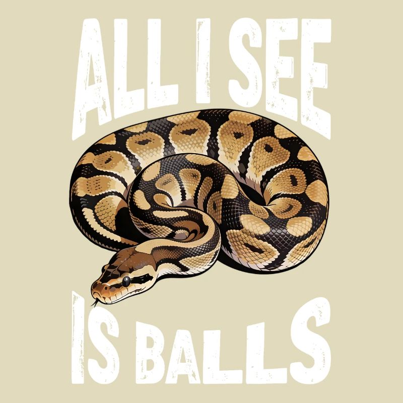 Python roi Serpents Amateurs de terrarium Python