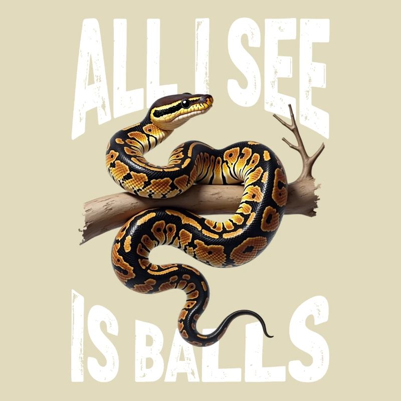 Python roi Serpents Amateurs de terrarium Python