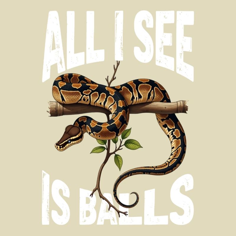 Python roi Serpents Amateurs de terrarium Python