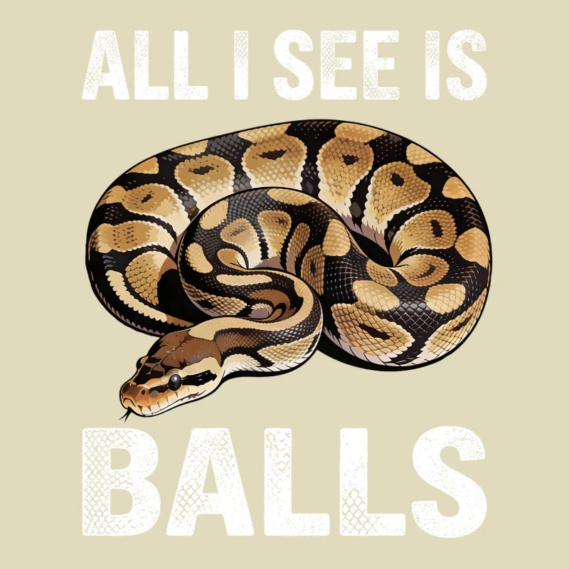 Python roi Serpents Amateurs de terrarium Python