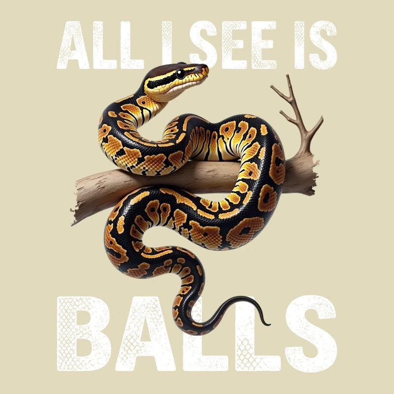 Python roi Serpents Amateurs de terrarium Python