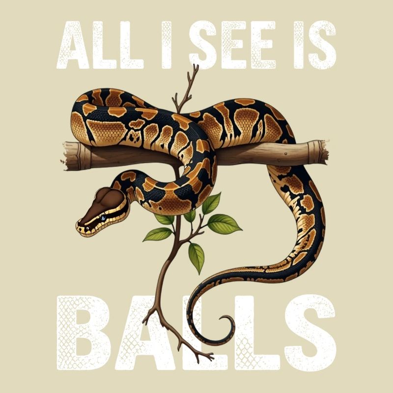 Python roi Serpents Amateurs de terrarium Python