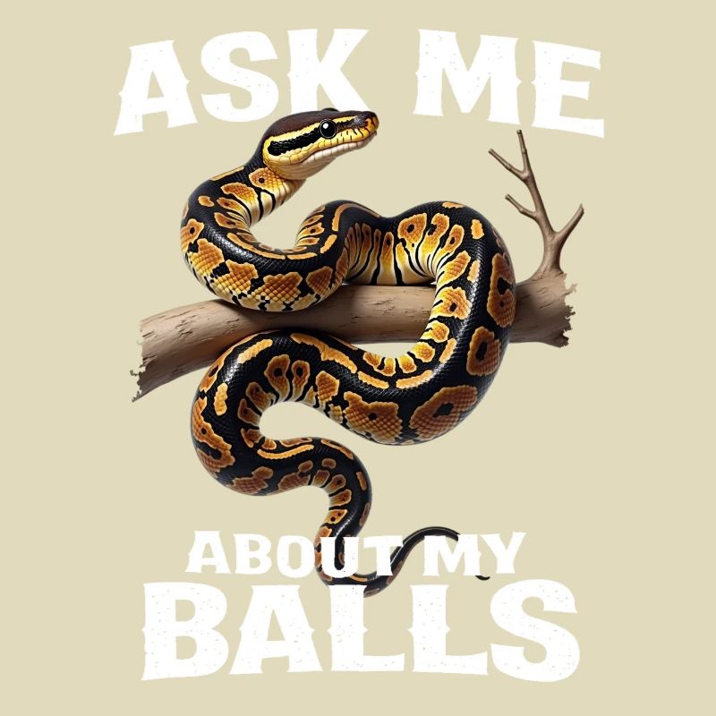 Python roi Serpents Amateurs de terrarium Python