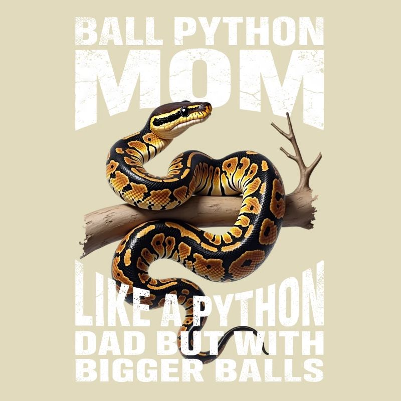 Königspython Mom Mama Schlangen Terrarium Python