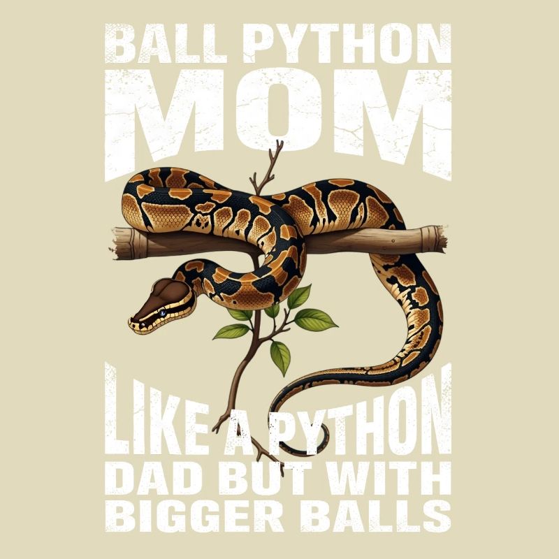 Maman Python roi Maman Serpents Terrarium Python