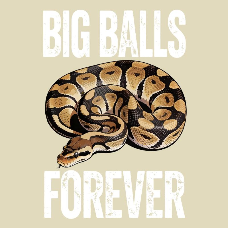 Königspython Schlangen Liebhaber Terrarium Python