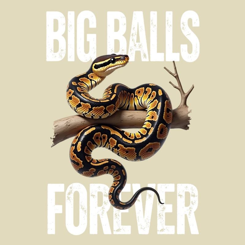 King Python Snakes Lover Terrarium Python