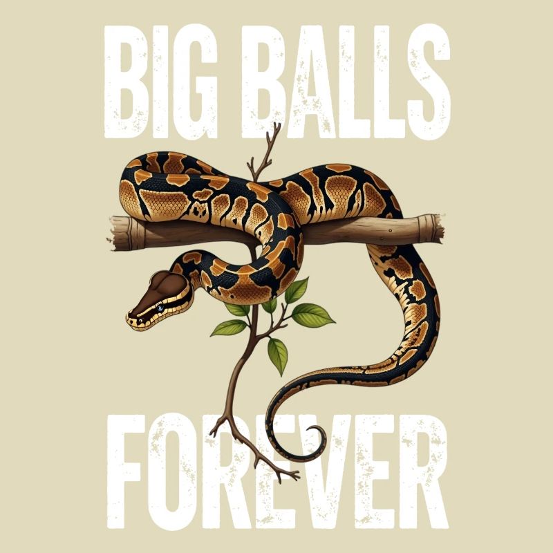 Python roi Serpents Amateurs de terrarium Python