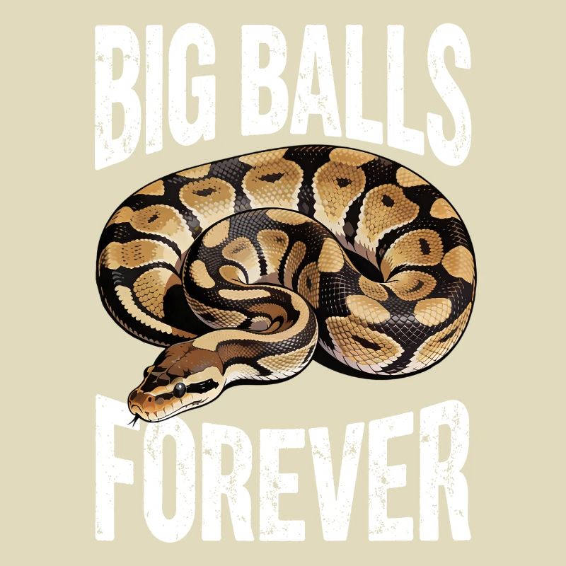 King Python Snakes Lover Terrarium Python