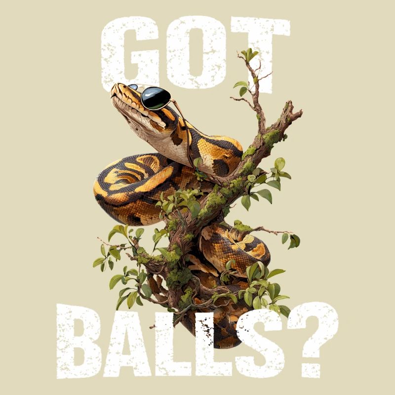 King Python Snakes Lover Terrarium Python