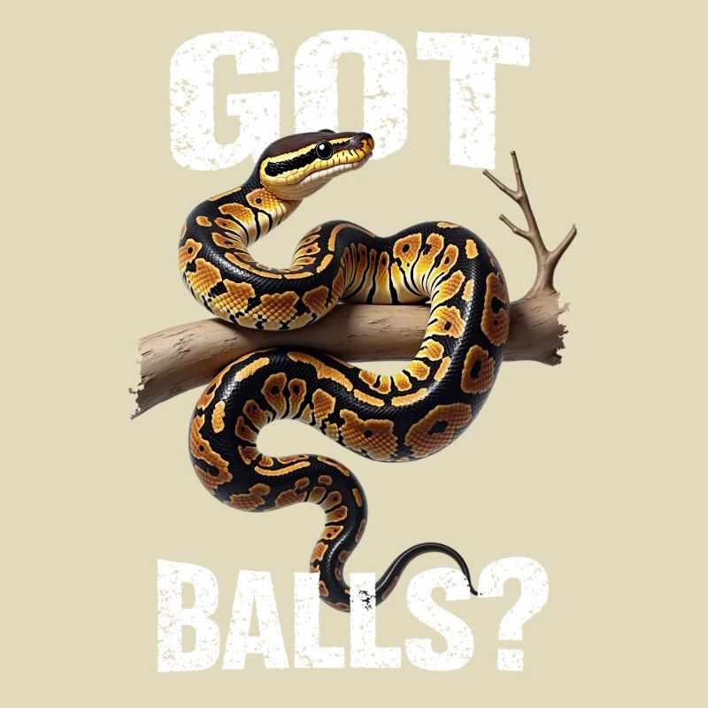 King Python Snakes Lover Terrarium Python