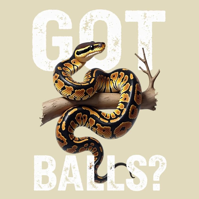 Python roi Serpents Amateurs de terrarium Python