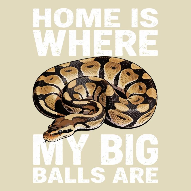 Königspython Schlangen Liebhaber Terrarium Python