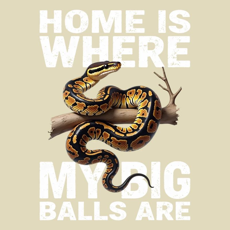 Python roi Serpents Amateurs de terrarium Python