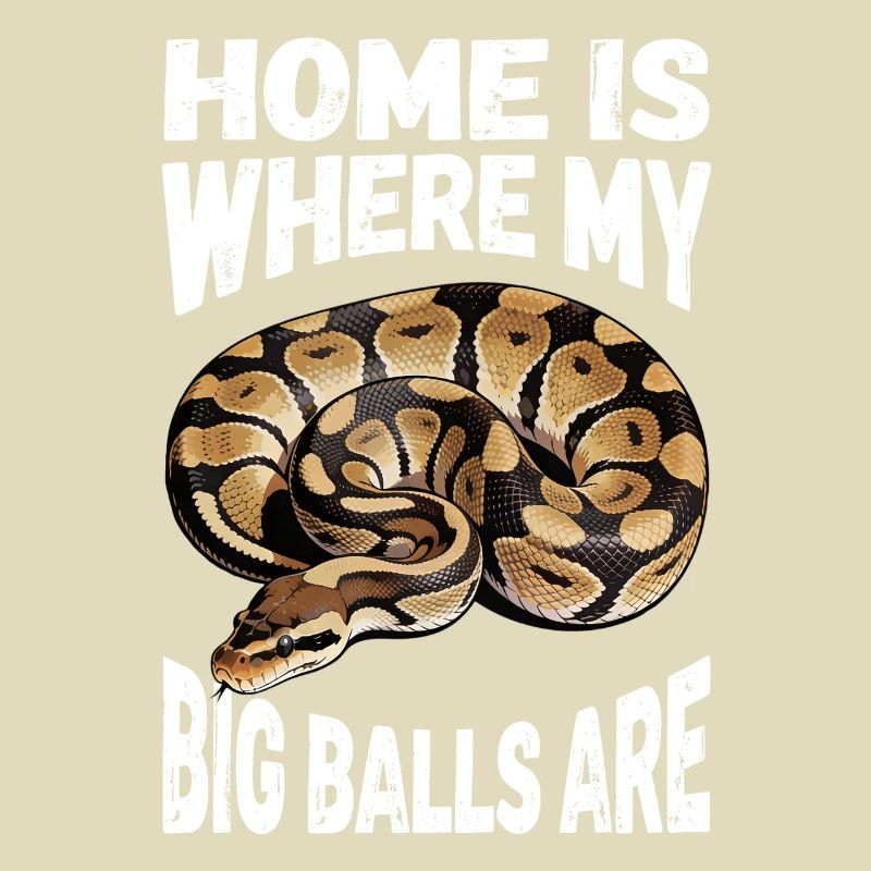 Königspython Schlangen Liebhaber Terrarium Python