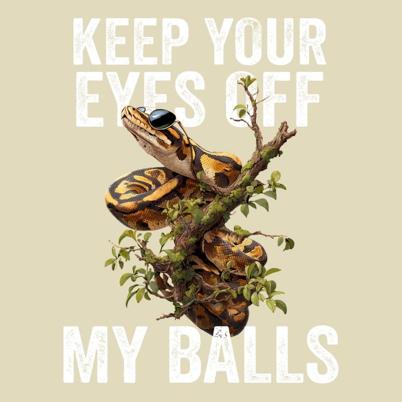 Königspython Schlangen Liebhaber Terrarium Python