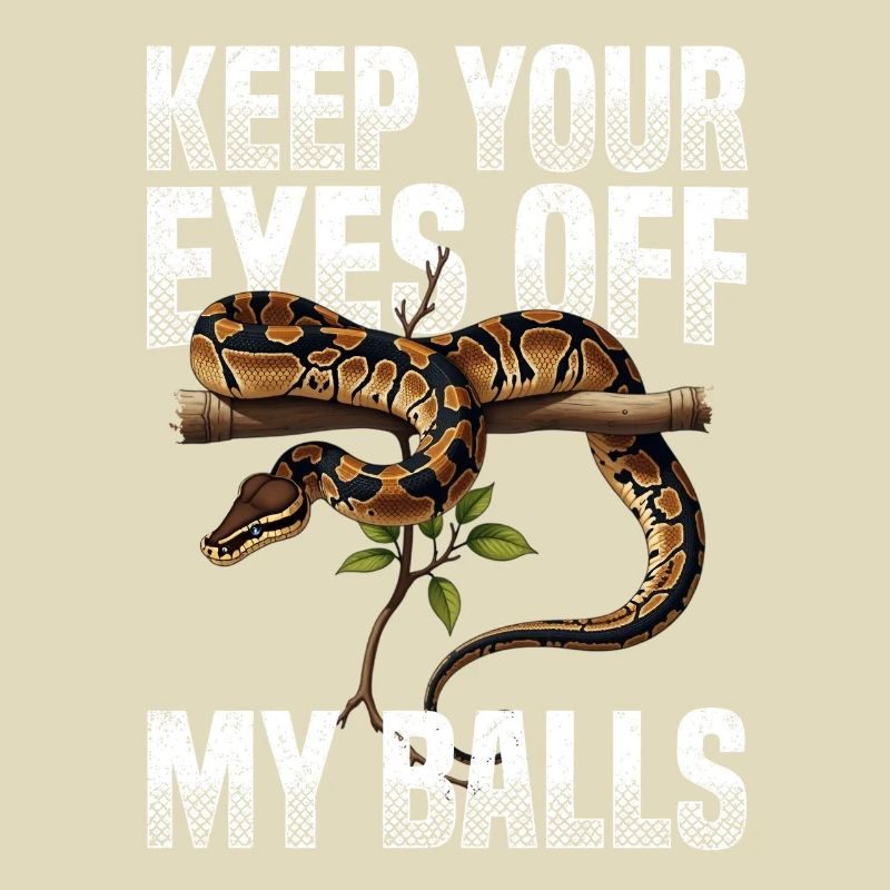 Königspython Schlangen Liebhaber Terrarium Python