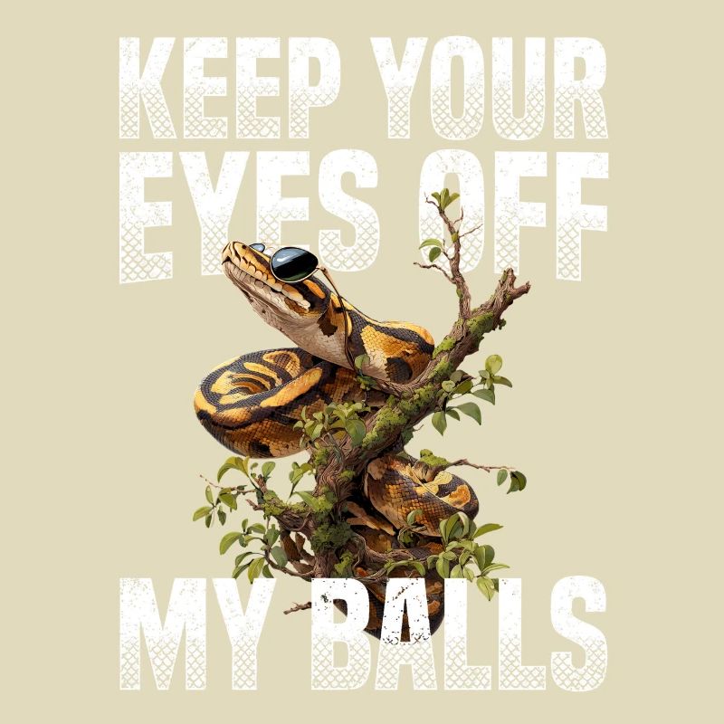 Königspython Schlangen Liebhaber Terrarium Python