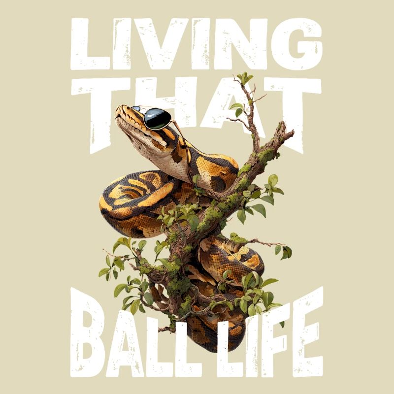 Königspython Schlangen Liebhaber Terrarium Python