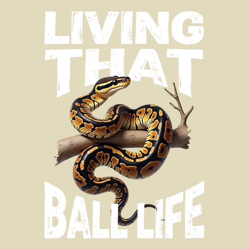 Königspython Schlangen Liebhaber Terrarium Python