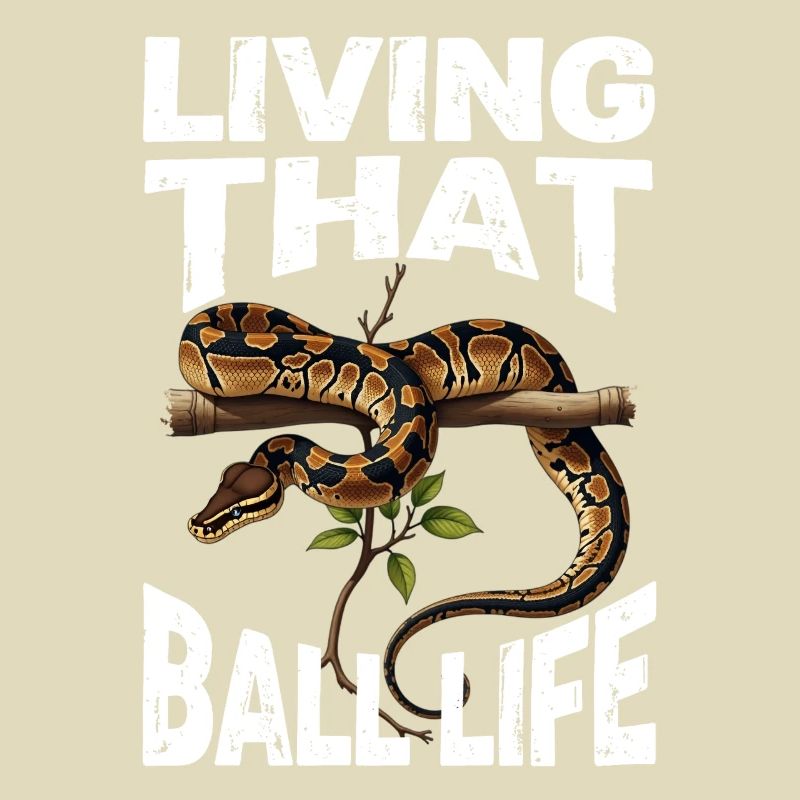 Python roi Serpents Amateurs de terrarium Python