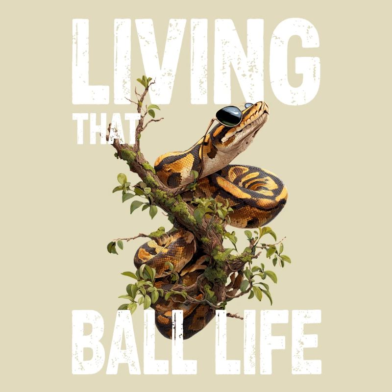 Königspython Schlangen Liebhaber Terrarium Python