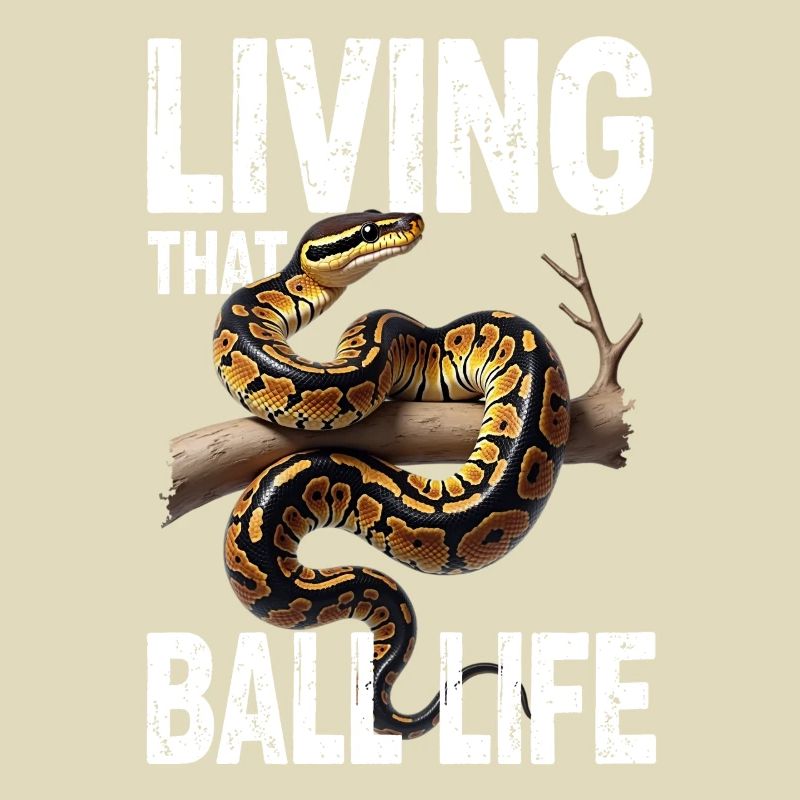 Python roi Serpents Amateurs de terrarium Python