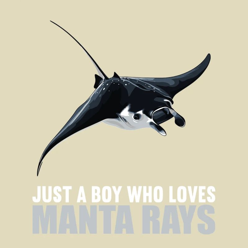 Rays Manta Rays