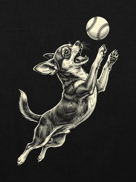Chihuahua-Hunderasse Baseball