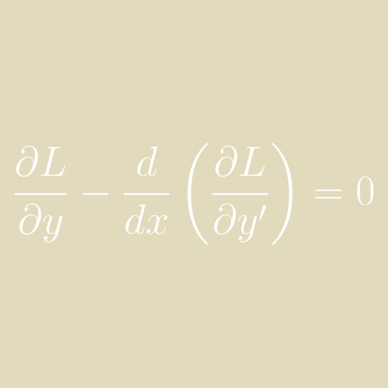 Euler-Lagrange equation fundamental notion physics