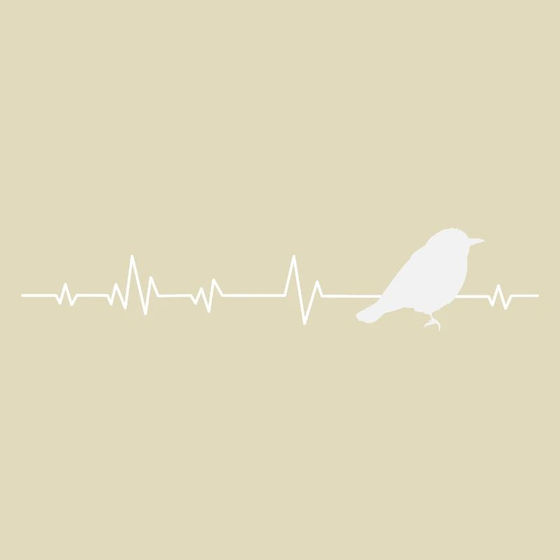 Oiseaux oiseaux