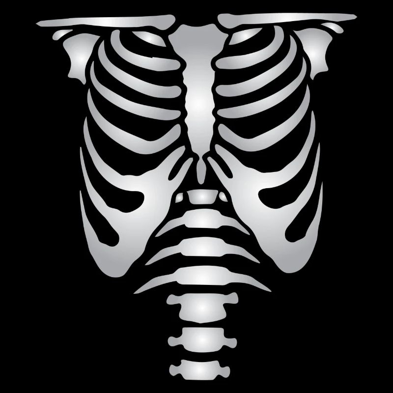 Human skeleton bones torso