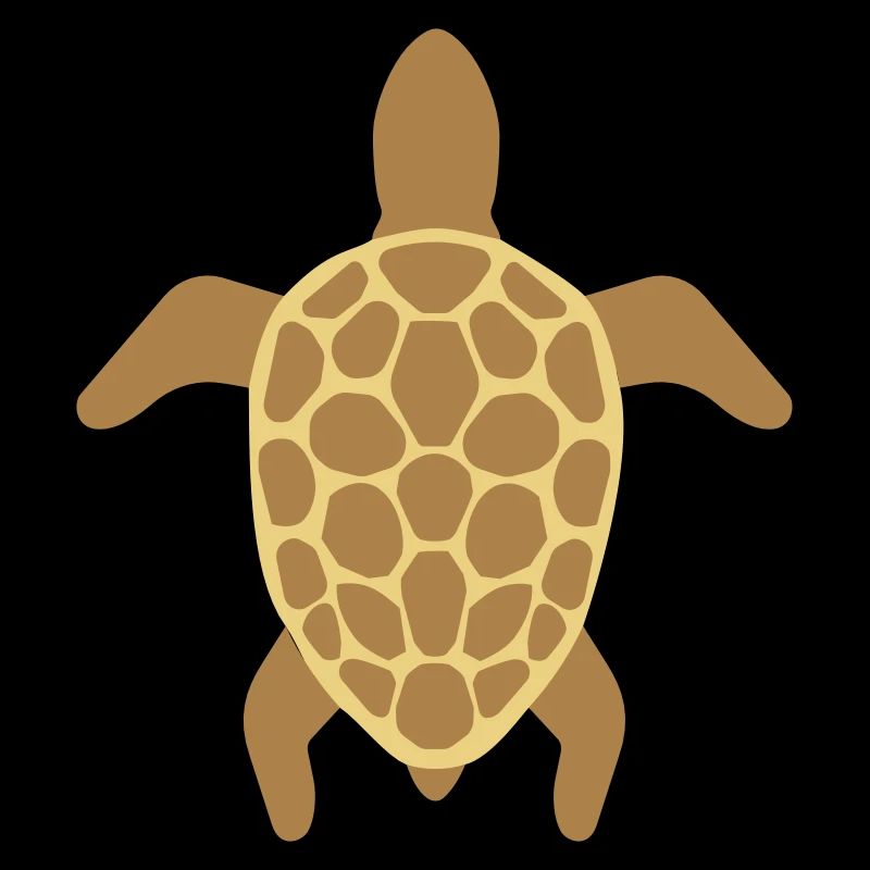 Tortue de mer