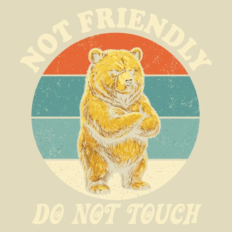 Grumpy Bear Not Friendly Funny Ironic Meme