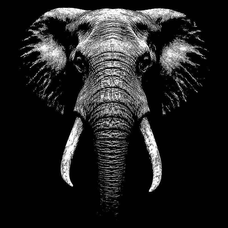 Éléphant d’afrique