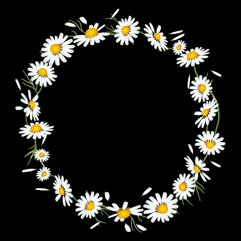 bright chamomile wreath from chamomile flowers