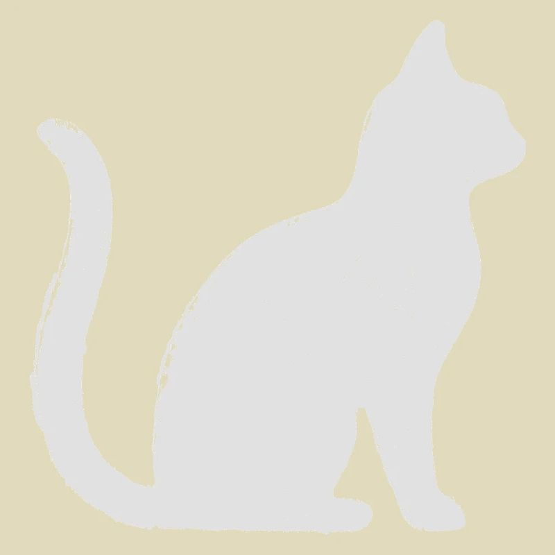 Katze