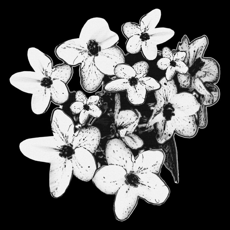 Frühlinglook, Blumen Ausschnitt schwarz-weiß