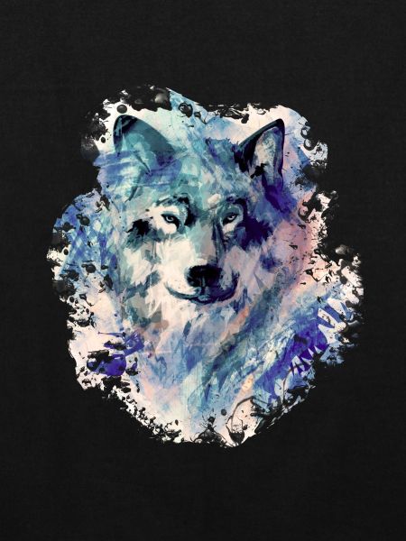 Wolf im Norden