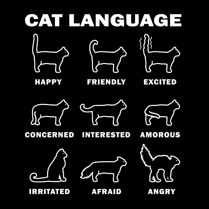 Langue des chats
