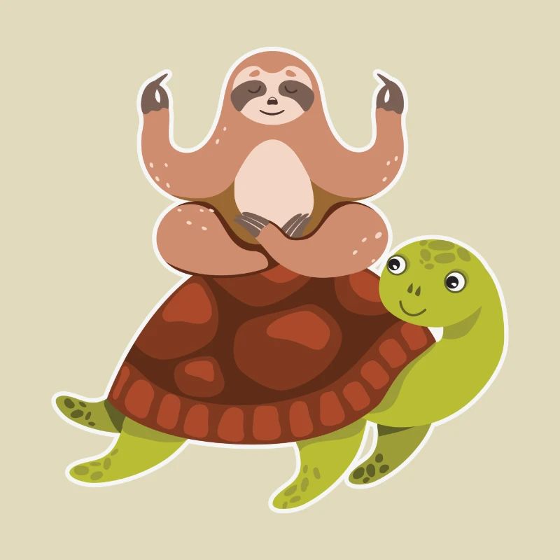 Sloth Riding Turtle Lazy Sloth Turtle
