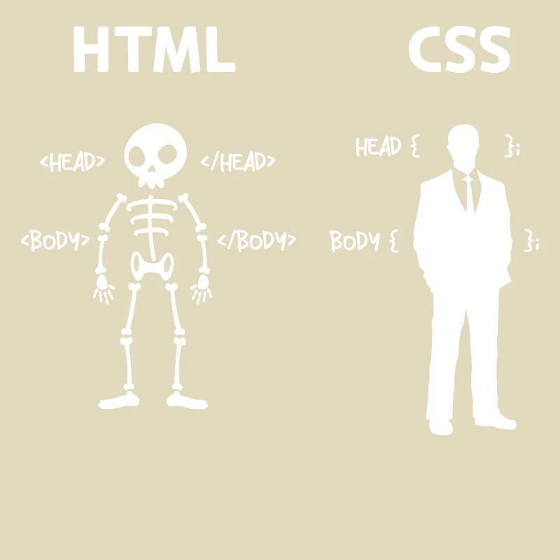 Code Css C++ Php Java Developer Code Scripting