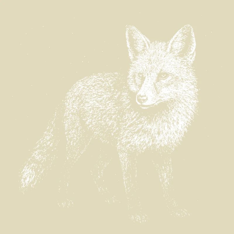 A fox