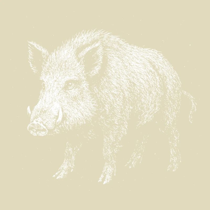 Wild boar