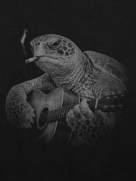 Turtle Night Guitar